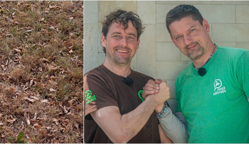 Je váš trávnik po horúčavách v zúboženom stave? TAKTO mu pomôžete, aby bol znovu zelený!