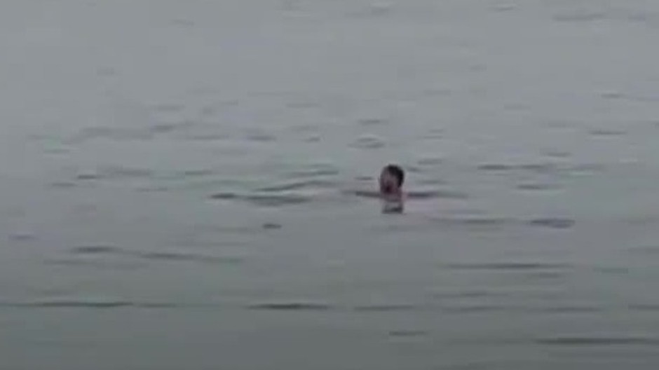 [multi] žralok egypt 1188 (cropped)