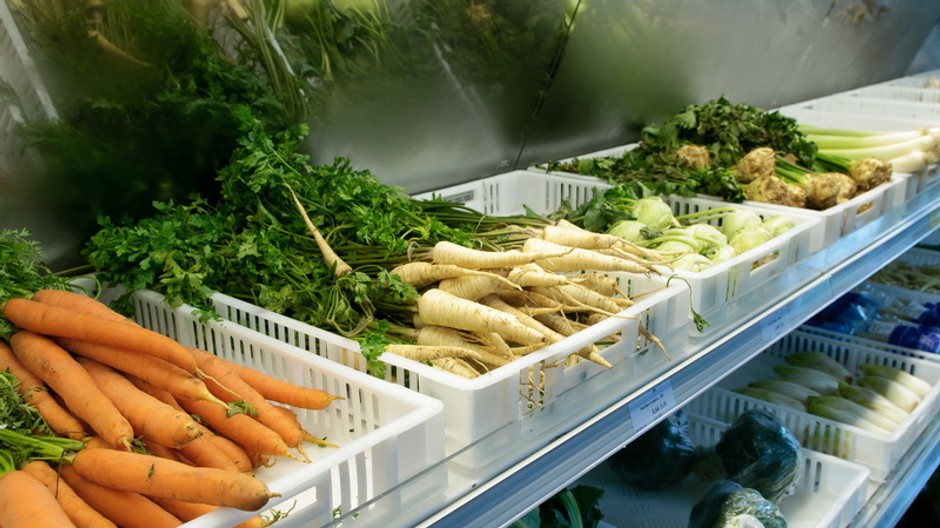 zelenina na pulte, ilustrák