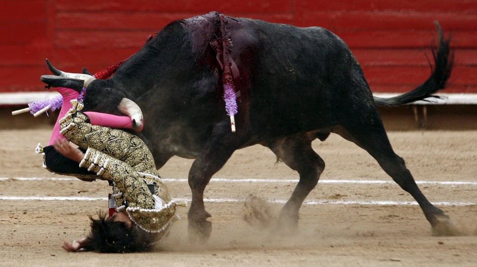 byk vlaci po zemi toreadora dieta-michelito lagravere