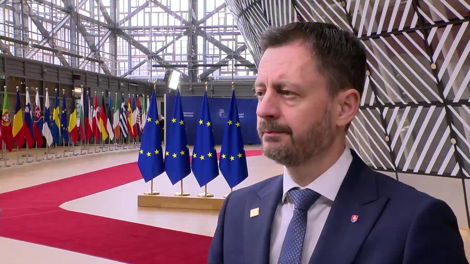 [multi] Heger v Bruseli 737