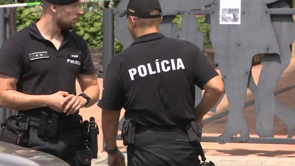 skokanka policia il 2