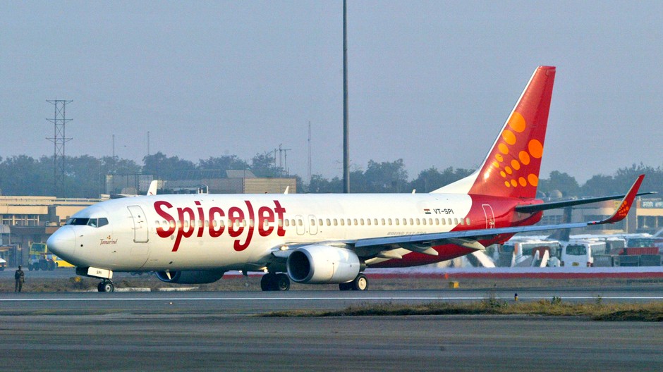 SpiceJet zrážka s diviakmi lietadlo India