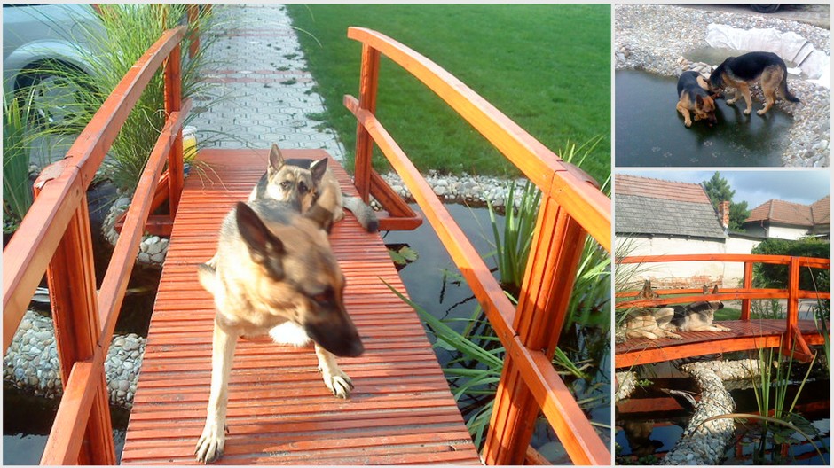 vlčiačky Linda Malá Dolné Saliby