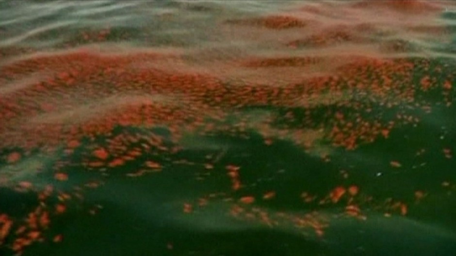 ropa v oceane, skvrna ropna, detail