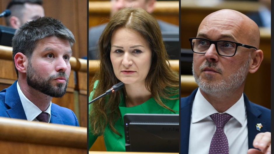 holečková grohling šimečka