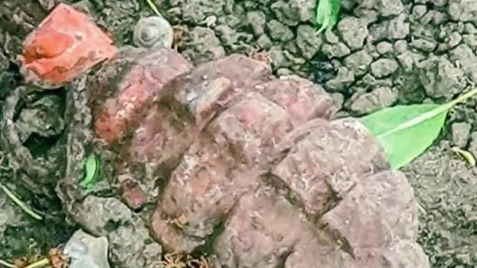 [multi] V záhrade našla funkčný granát 8953 (cropped)