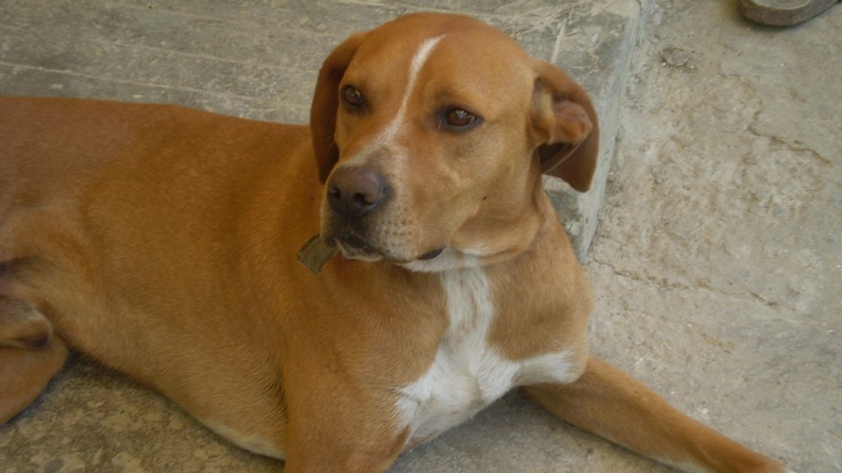 Beny_stratený_Rimavská Sobota_pomoc