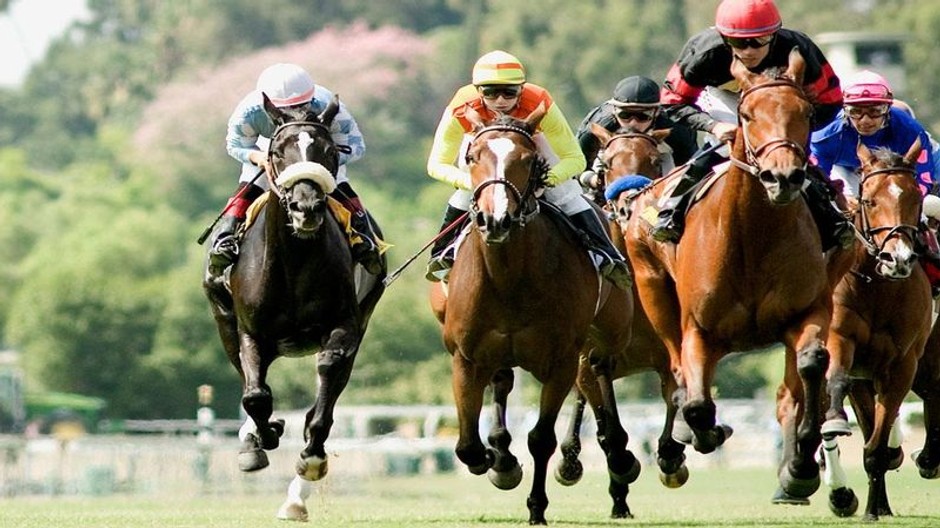 Dostihy cieľová rovinka