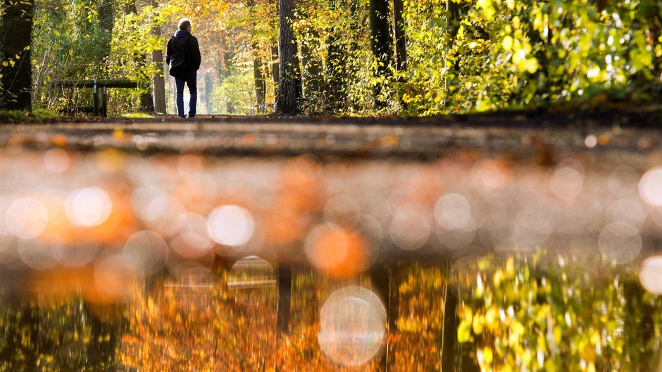 jeseň - muž v parku, ilustračné foto