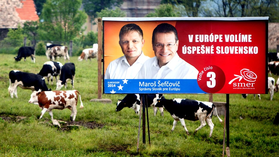 Fico a Šefčovič bilbordy, kravy