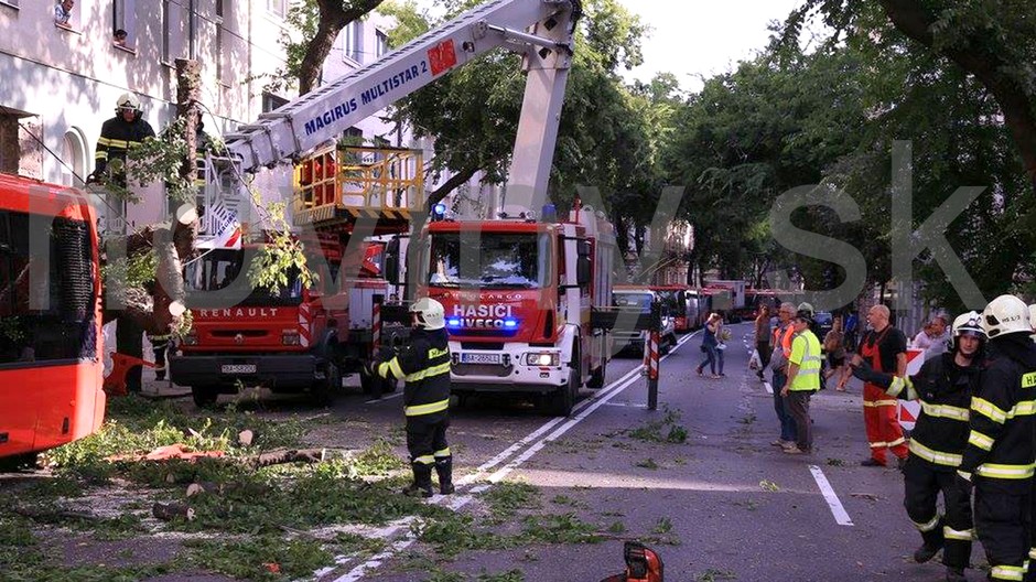 Bratislava - Štefánikova, strom, padnutý, MHD 5