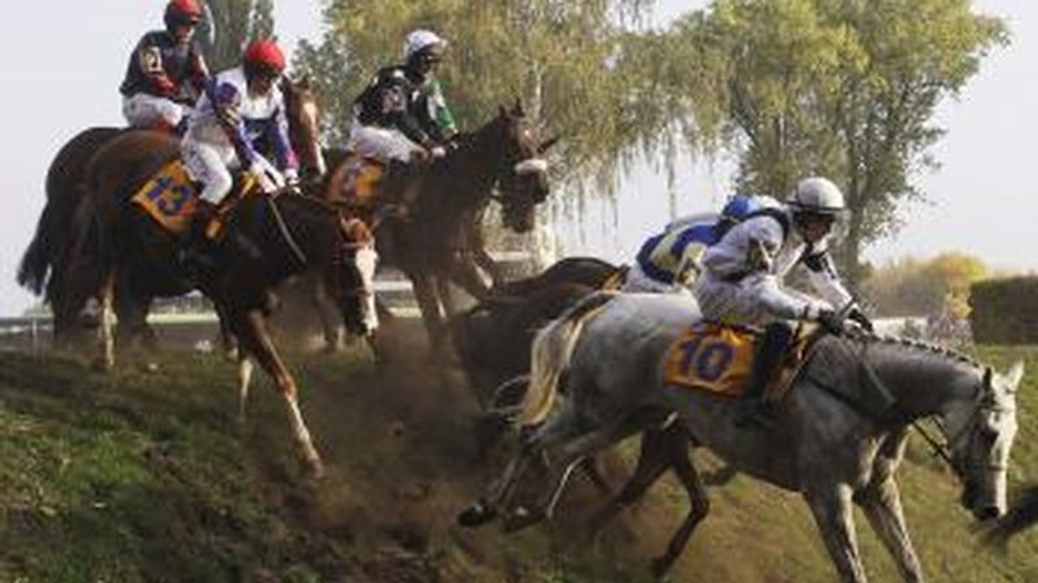 Veľká pardubická, kone