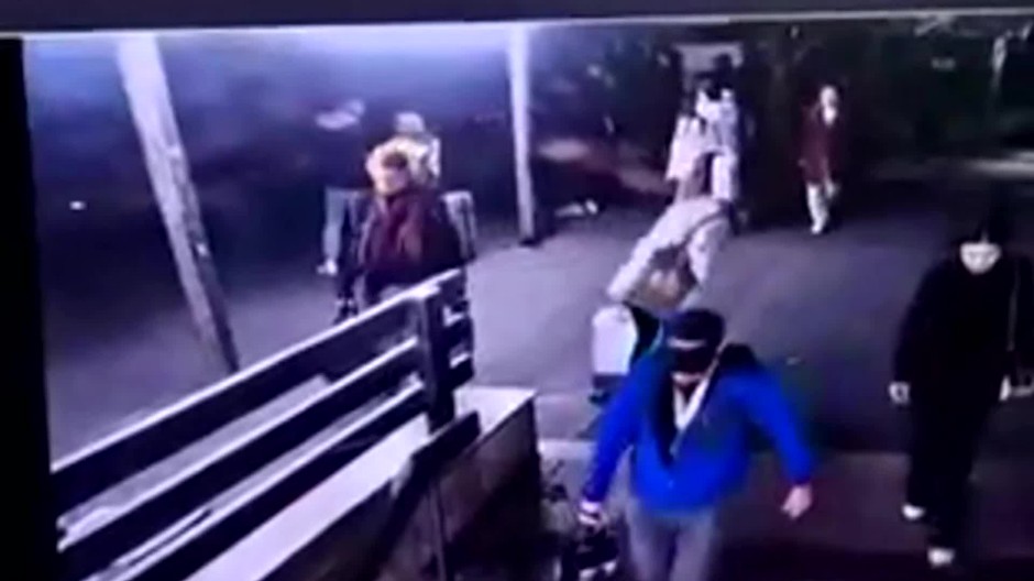 [multi] Nehoda Zochova vodic 12258