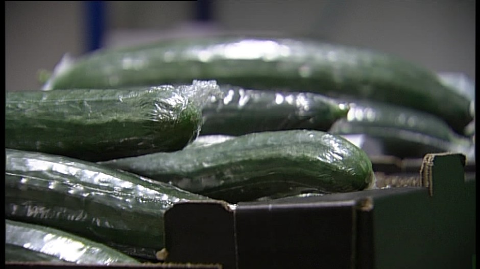 Uhorky v obale, foto ilustračné