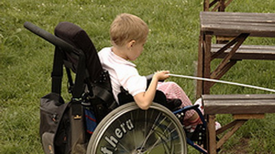 Chlapec, dieťa, invalidný vozík, tráva, lúka