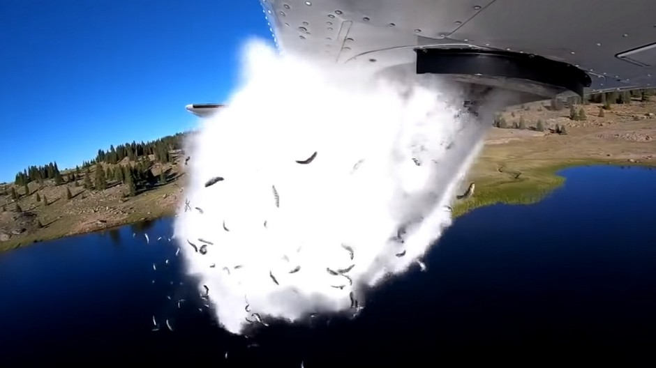 padajúce ryby z lietadla