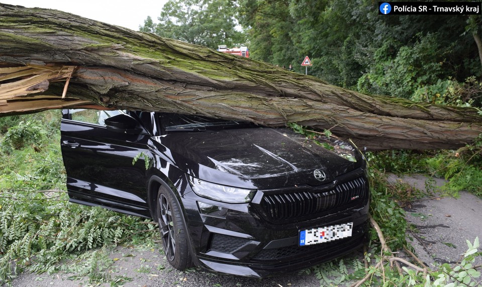 V zlom čase na zlom mieste: Na auto spadol počas jazdy strom