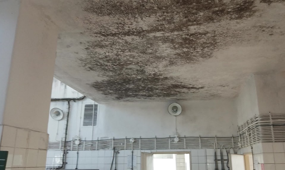 V jedálni nemocnice sa 20 rokov bojovalo s plesňou. Teraz našli finálne riešenie