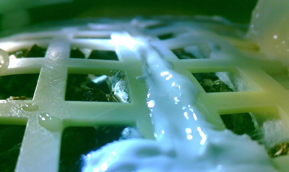 Prvý zelený lístok na Mesiaci zvädol, tu je dôvod