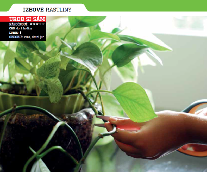 Tipy a triky do vašej záhrady, ktoré vám ušetria desiatky eur