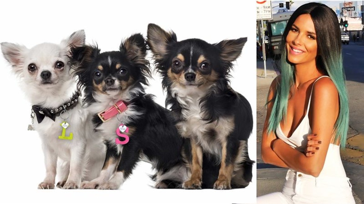 Ozdobte svojho psíka štýlovo: Vyhrajte jedinečný prívesok KUKU od Soničky Skoncovej!