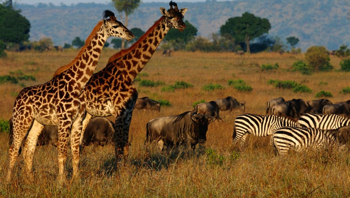 JOJka bude nakrúcať v exotike: Práve obhliadame lokácie v Afrike!