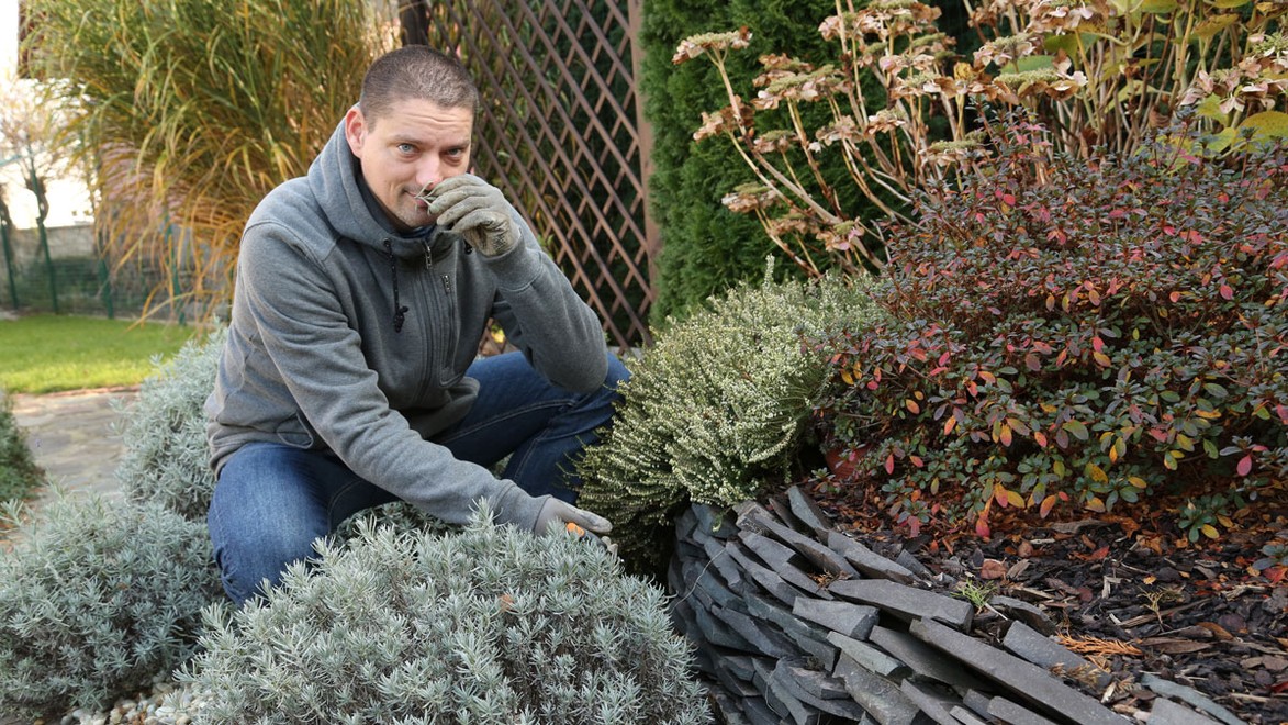Záhradkári, POZOR! Prvý májový týždeň je dôležité spraviť niekoľko úprav vo vašej záhrade