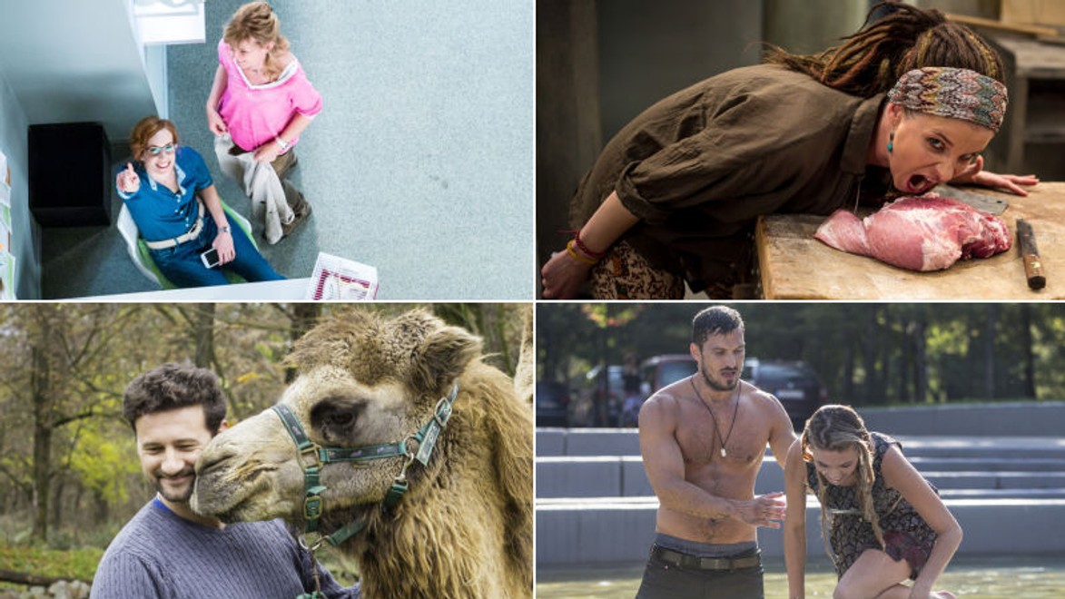 Momentky zo ZOO: Na nakrúcaní seriálu nebola núdza o vtipné okamihy