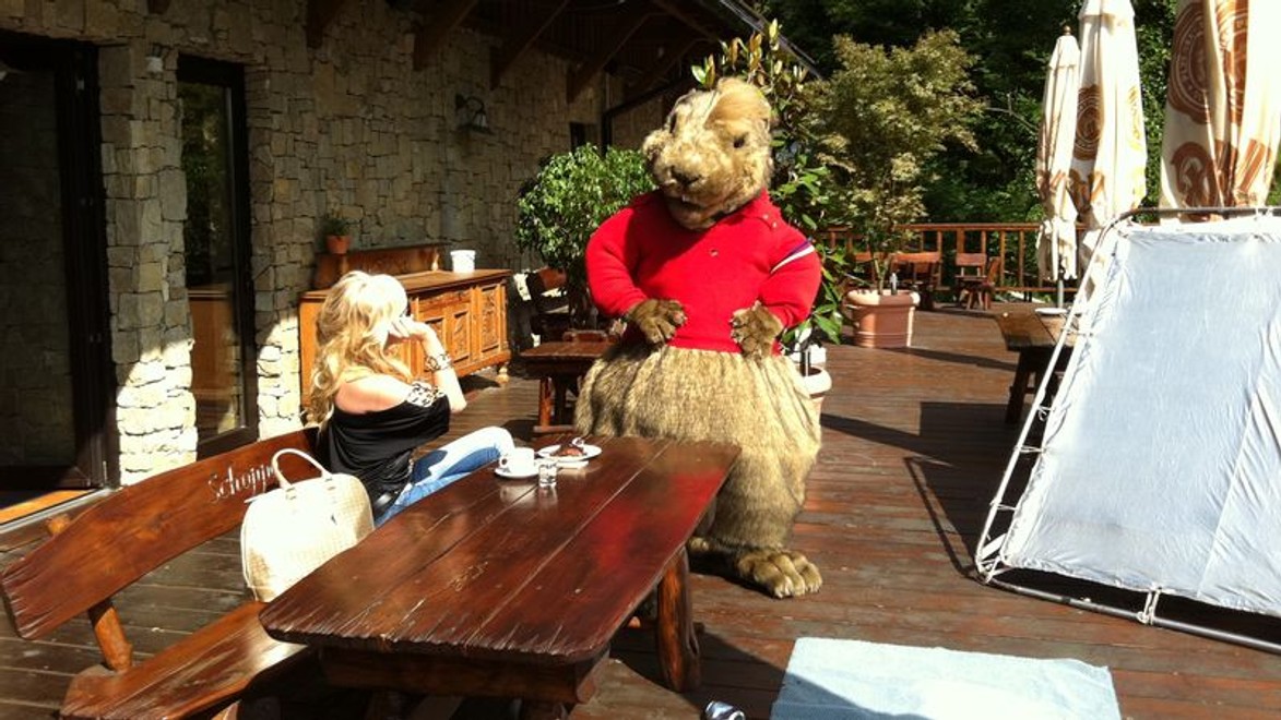 Svištia sezóna sa blíži! Pozrite si nové upútavky