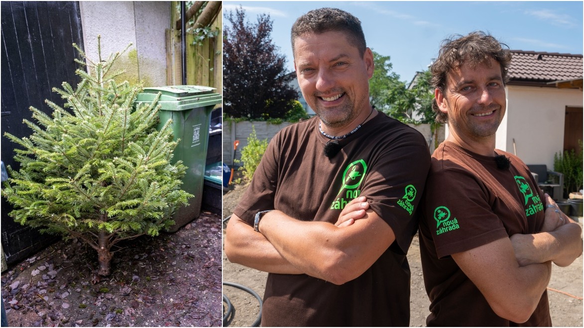 Vianočný stromček nemusí skončiť len v koši: TAKTO ho ešte môžete využiť v záhrade!